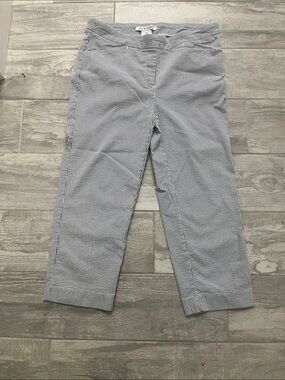 Zac & Rachel Pinstripe Pull-On Capri Pants